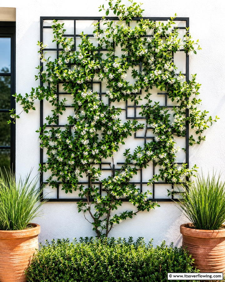 Wall Mounted Trellis - 25 Trellis Ideas to Enhance Your Garden Aesthetics