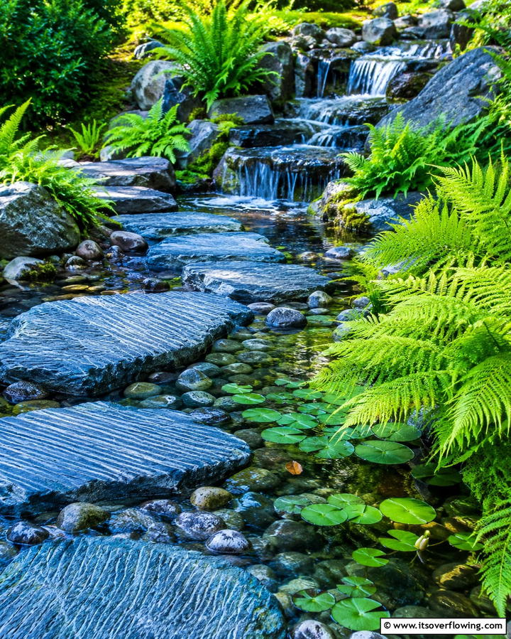 Water Feature Rock Path - 30 Rock Walkway Ideas to Elevate Your Garden Design