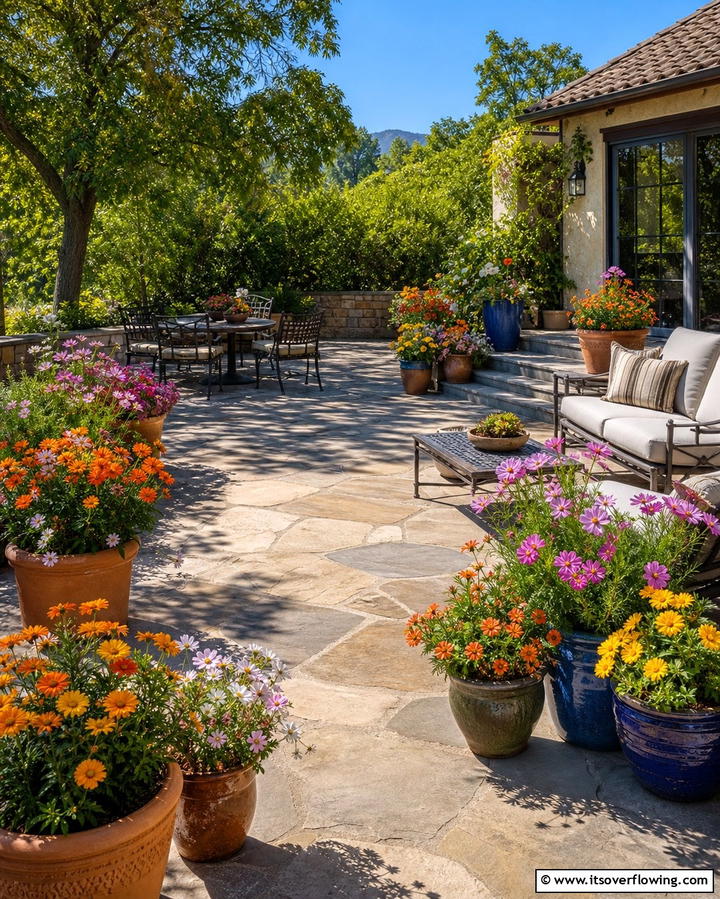 Wildflower Pots and Containers - 25 Wildflower Garden Ideas for a Natural Look