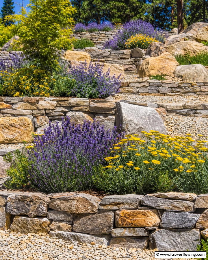 Wildflower Rock Gardens - 25 Wildflower Garden Ideas for a Natural Look