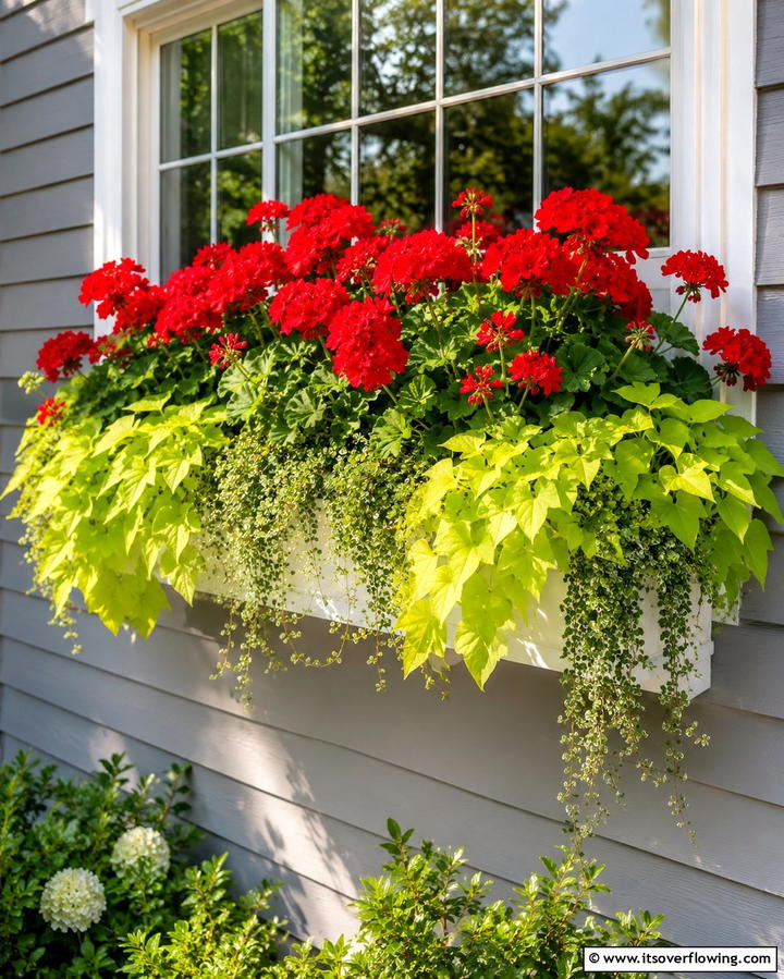 Window Boxes with Edging Plants - 25 Window Box Ideas to Brighten Your Home’s Exterior