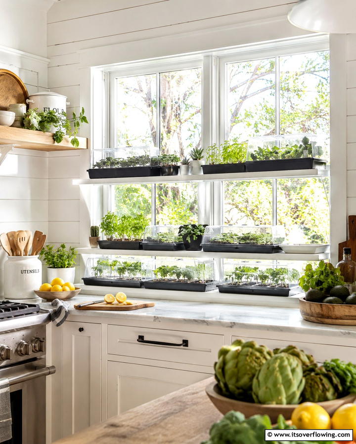 Window Sill Greenhouse - 20 Indoor Greenhouse Ideas for Year-Round Gardening