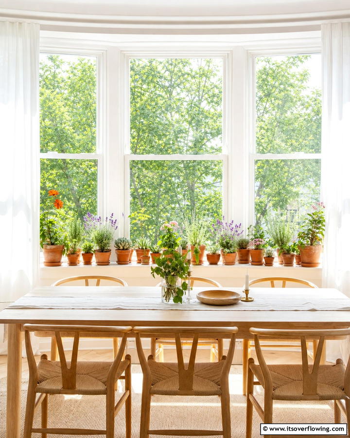 Windowsill Gardens - 25 Plant Room Ideas for a Green Oasis at Home
