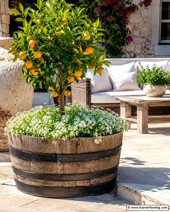 Wine Barrel Planters - 25 Inexpensive Raised Garden Bed Ideas for Your Yard