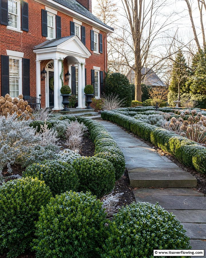 Winter Gem Boxwood - 20 Front Yard Boxwood Shrubs Ideas for a Polished Look