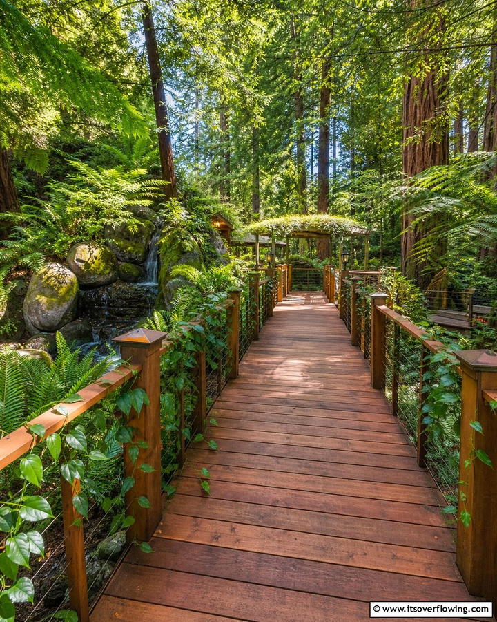 Wooden Elevated Walkway - 20 Elevated Walkway Ideas for a Unique Landscape