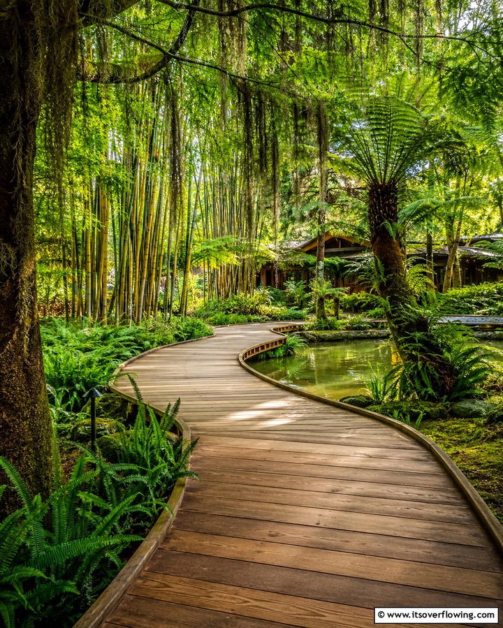 Wooden Plank Pathways - 25 Curved Walkway Ideas for a Charming Garden Path