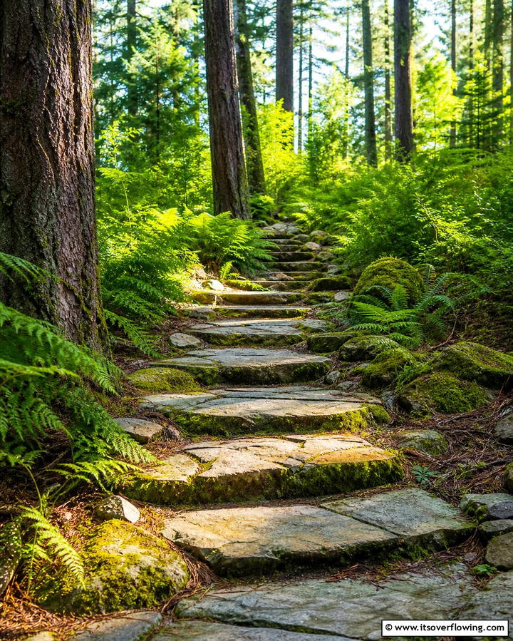 Woodland Retreat Steps - 25 Flagstone Steps Ideas for Your Outdoor Pathway