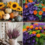 20 Fall Flower Box Ideas for Seasonal Beauty