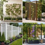 20 Trellis Ideas for Privacy in Your Outdoor Space