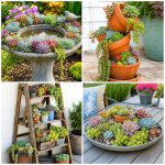 25 Backyard Decorating Ideas With Succulent Pots For Charm