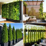 25 Backyard Ideas for Privacy: Stylish Secluded Spaces