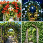 25 Creative Garden Ideas With Archway Flowers