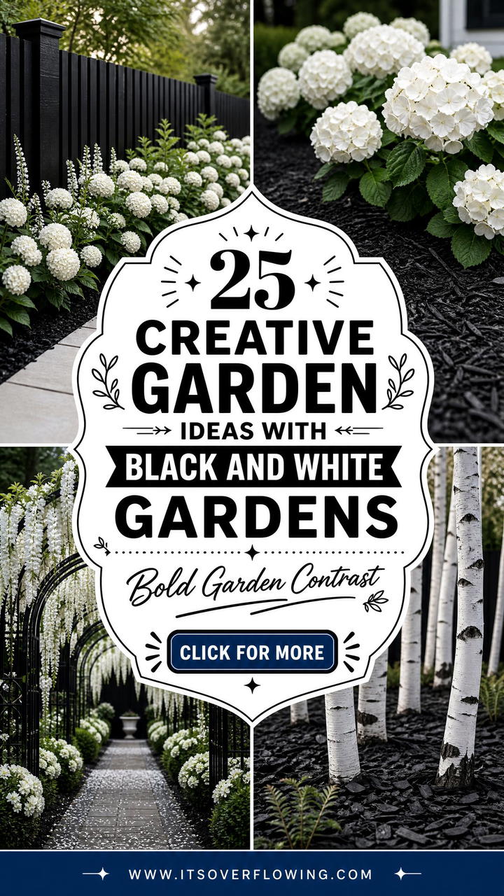 25 Creative Garden Ideas With Black and White Gardens - 25 Creative Garden Ideas With Black and White Gardens