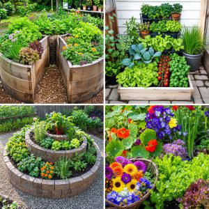 25 Creative Garden Ideas With Keyhole Garden Beds