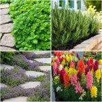 25 Creative Garden Ideas With Sensory Planting for Relaxation