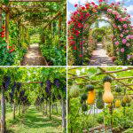 25 Creative Garden Ideas With Trellis Tunnel Designs to Try