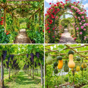 25 Creative Garden Ideas With Trellis Tunnel Designs to Try