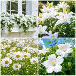 25 Creative Garden Ideas With White Flower Gardens You’ll Love
