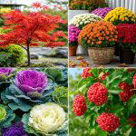 25 Creative Garden Ideas for Fall Color: Vibrant Seasonal Tips