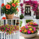 25 Front Porch Ideas With Sun Loving Plants to Brighten Up