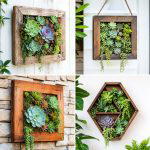 25 Garden Ideas With Succulent Frames for Living Art