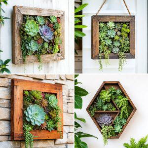 25 Garden Ideas With Succulent Frames for Living Art