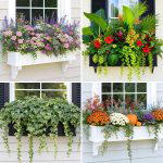 25 Garden Ideas With Window Boxes for Beautiful Blooms