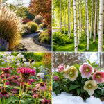 25 Garden Ideas for Clay Soil That Grow Strong and Beautiful