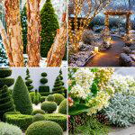 25 Garden Ideas for Winter to Keep Your Yard Beautiful