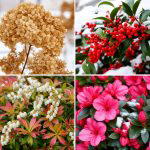 25 Garden Ideas for Year Round Color in Every Season