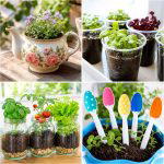 25 Recycled Garden Ideas for School Projects