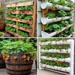 25 Strawberry Planter Ideas for Fresh Homegrown Berries