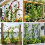 25 Upcycled Garden Ideas With Trellis Walls for Vertical Style
