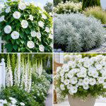 25 creative garden ideas with moon gardens for Nighttime Glow