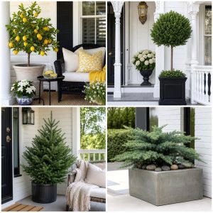 25 front porch decor ideas with mini trees For Fresh Charm