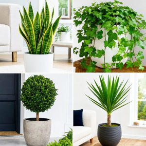 25 front porch decor ideas with year round greenery Now