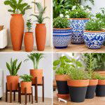 25 front porch ideas with terracotta pots for Warm Charm