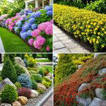 25 garden design ideas with low maintenance shrubs: Easy Looks