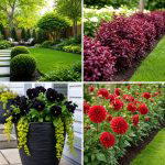 25 garden design ideas with monochrome plants: Chic Planting