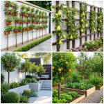 25 garden ideas with fruit trees for Beauty and Harvests