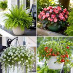 25 garden ideas with hanging baskets for Colorful Displays