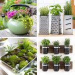 25 recycled garden ideas with old kitchenware: Creative DIYs