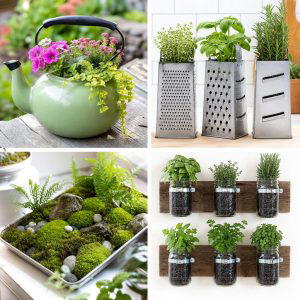 25 recycled garden ideas with old kitchenware Creative DIYs
