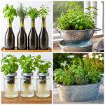 25 recycled garden ideas with self watering planters: Easy DIY