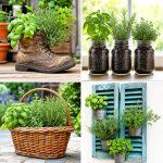 25 reusing old things ideas for herb garden Style