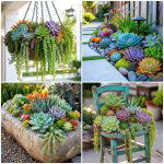 25 small garden ideas with succulents for Low-Maintenance Style