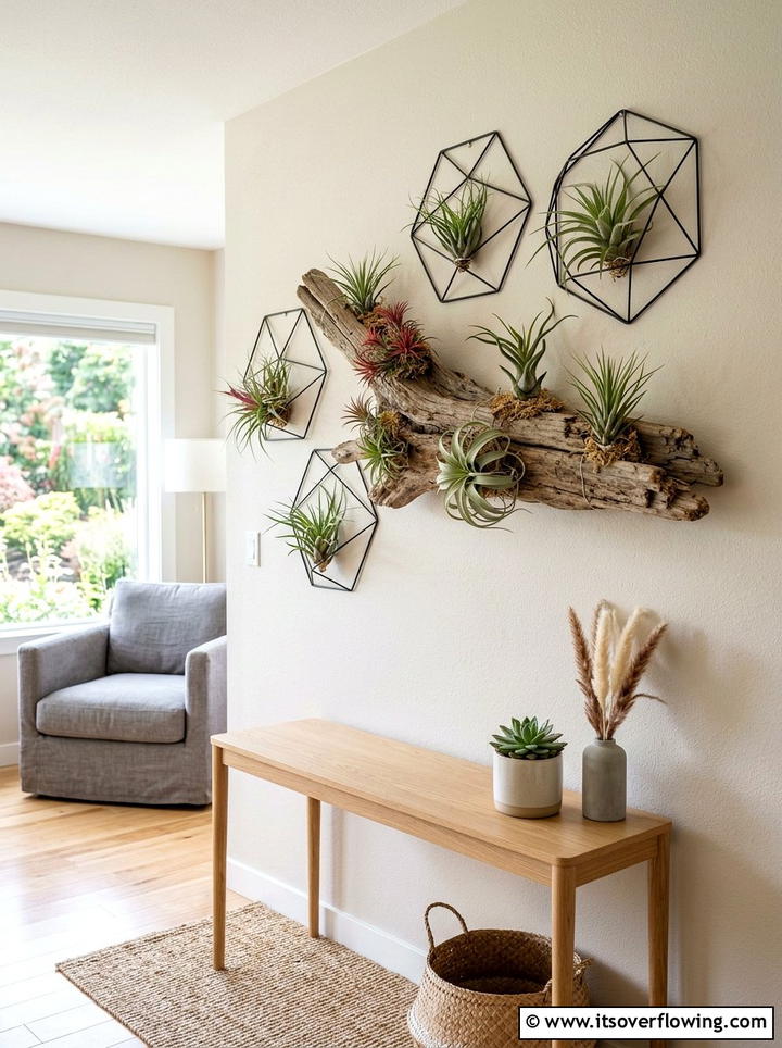 Air Plant Display - 25 small garden ideas for apartments