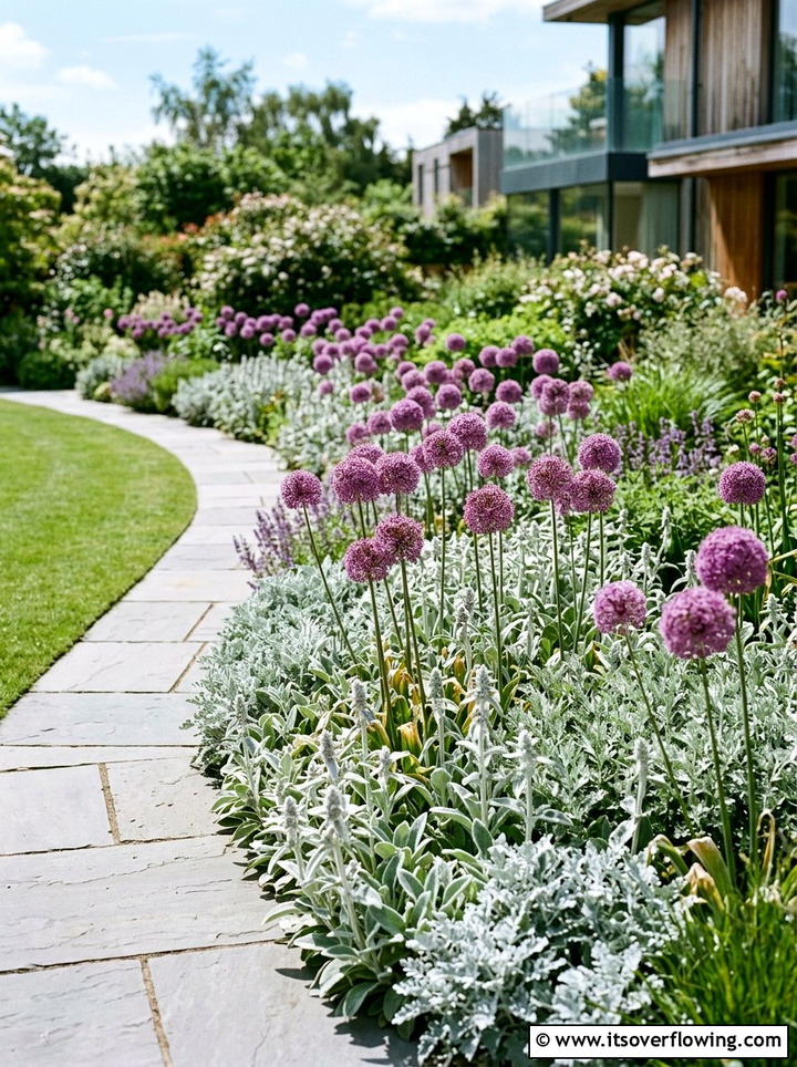 Allium Garden Border - 25 garden ideas with border plants
