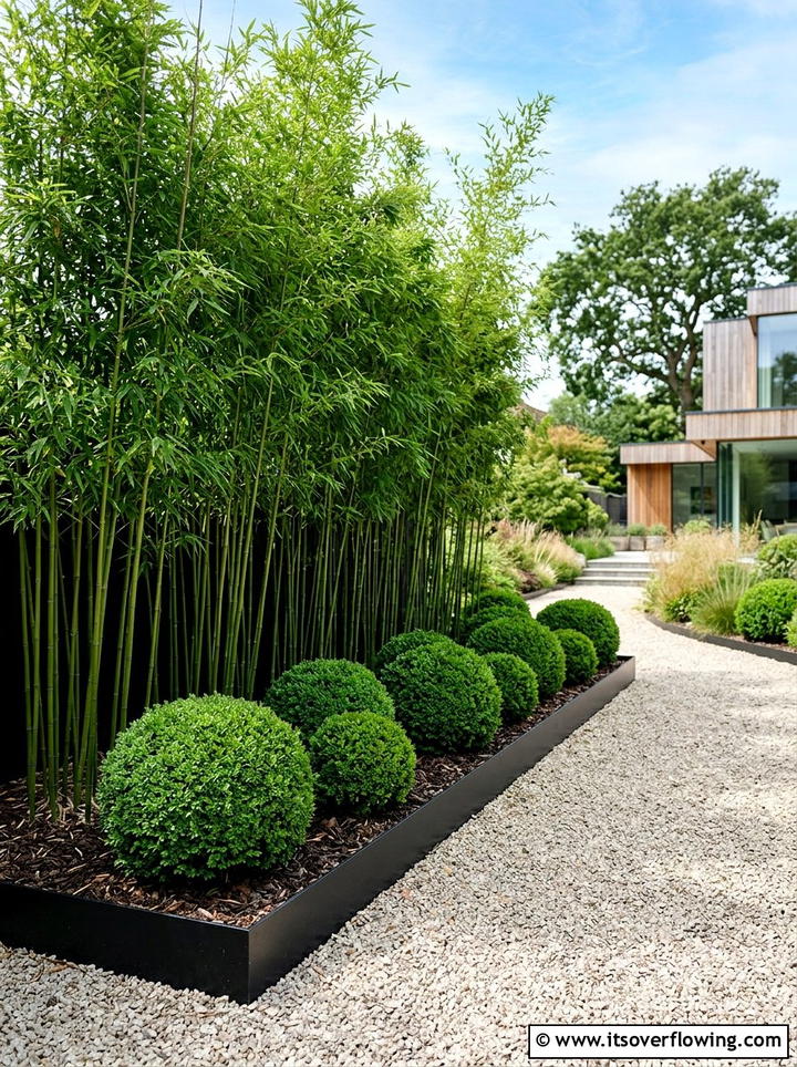 Architectural Plant Border - 25 garden ideas for contemporary homes